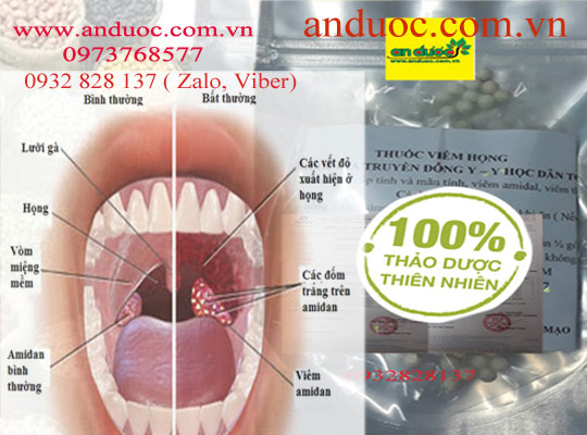 An Dược